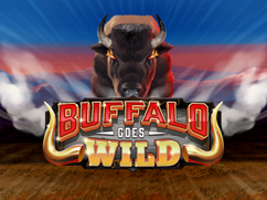 Buffalo Goes Wild